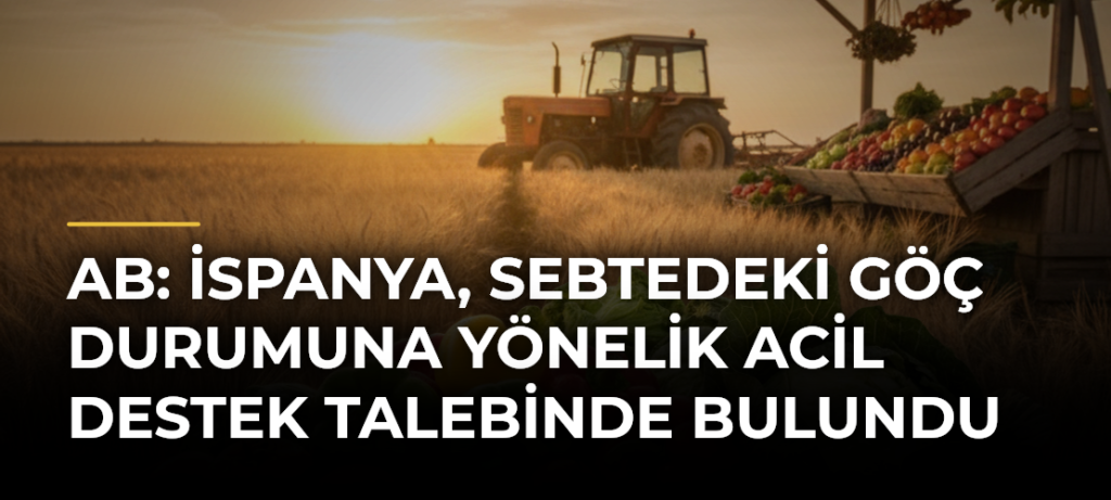 AB: İspanya, Sebtedeki göç durumuna yönelik acil destek talebinde bulundu
