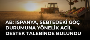 AB: İspanya, Sebtedeki göç durumuna yönelik acil destek talebinde bulundu