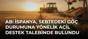 AB: İspanya, Sebtedeki göç durumuna yönelik acil destek talebinde bulundu
