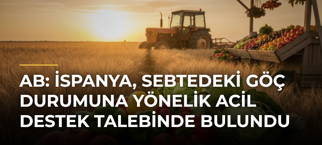 AB: İspanya, Sebtedeki göç durumuna yönelik acil destek talebinde bulundu - Mirat Haber