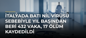 İtalyada Batı Nil virüsü sebebiyle yıl başından beri 432 vaka, 17 ölüm kaydedildi