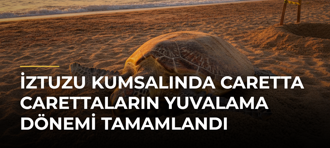 İztuzu Kumsalında Caretta Carettaların Yuvalama Dönemi Tamamlandı - Mirat Haber