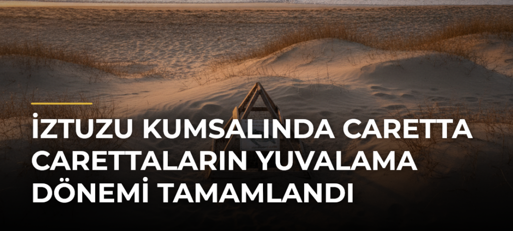 İztuzu Kumsalında Caretta Carettaların Yuvalama Dönemi Tamamlandı