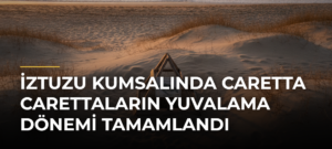 İztuzu Kumsalında Caretta Carettaların Yuvalama Dönemi Tamamlandı