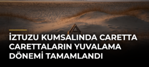 İztuzu Kumsalında Caretta Carettaların Yuvalama Dönemi Tamamlandı