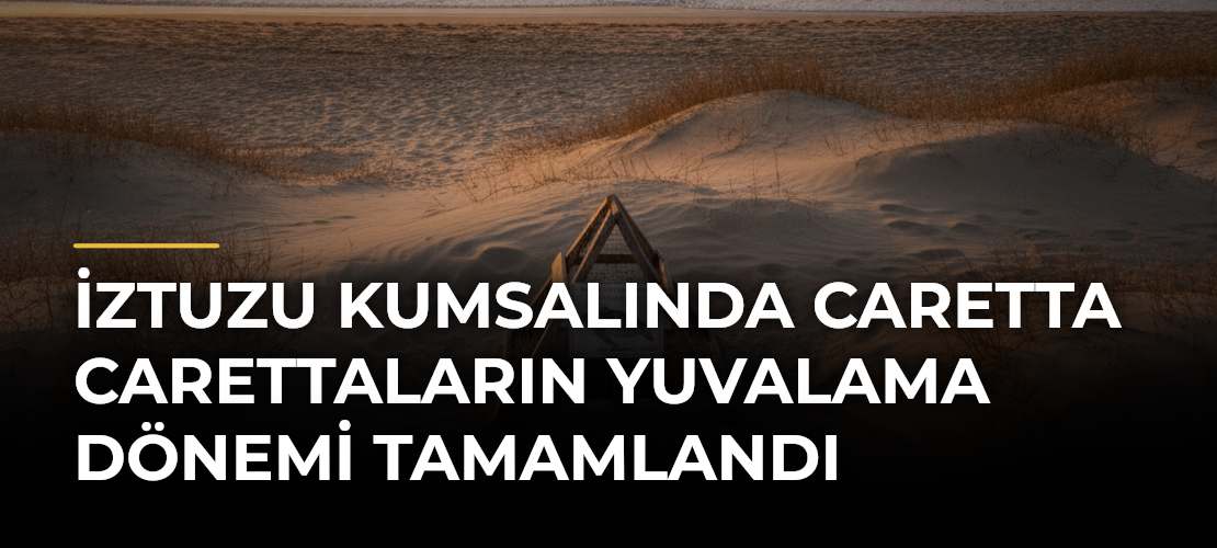 İztuzu Kumsalında Caretta Carettaların Yuvalama Dönemi Tamamlandı