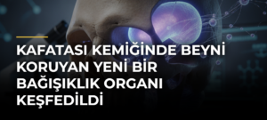 Kafatası kemiğinde beyni koruyan yeni bir bağışıklık organı keşfedildi
