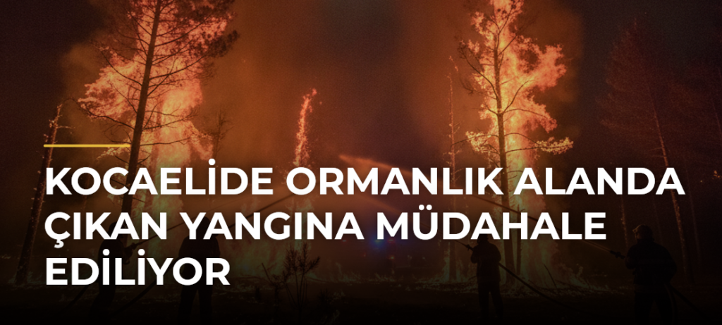 Kocaelide Ormanlık Alanda Çıkan Yangına Müdahale Ediliyor