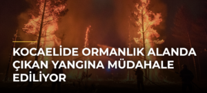 Kocaelide Ormanlık Alanda Çıkan Yangına Müdahale Ediliyor
