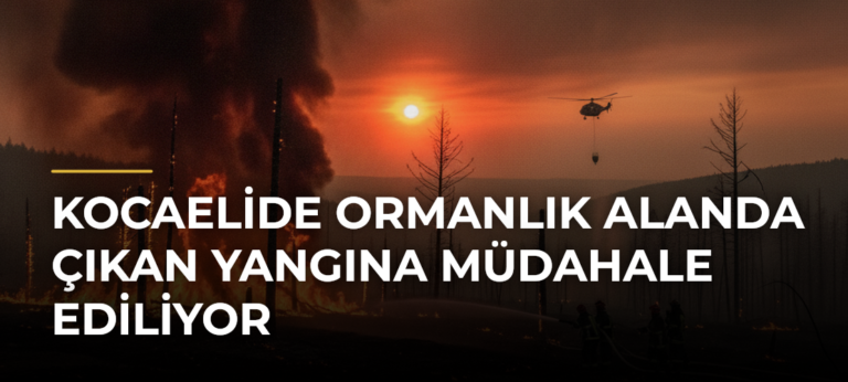 Kocaelide Ormanlık Alanda Çıkan Yangına Müdahale Ediliyor
