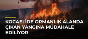 Kocaelide Ormanlık Alanda Çıkan Yangına Müdahale Ediliyor