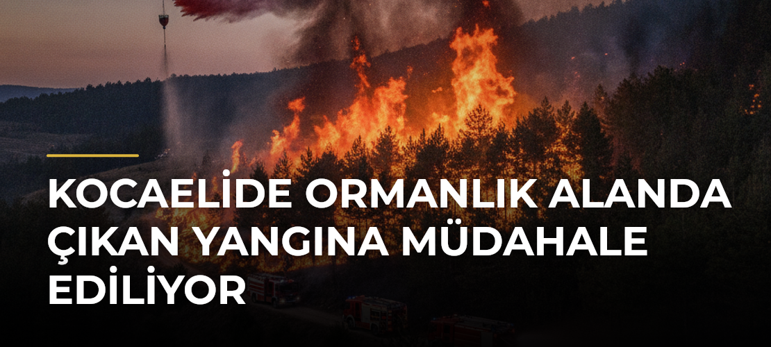 Kocaelide Ormanlık Alanda Çıkan Yangına Müdahale Ediliyor - Haber Sitesi