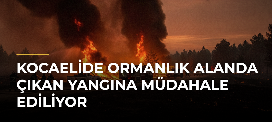 Kocaelide ormanlık alanda çıkan yangına müdahale ediliyor - Mirat Haber