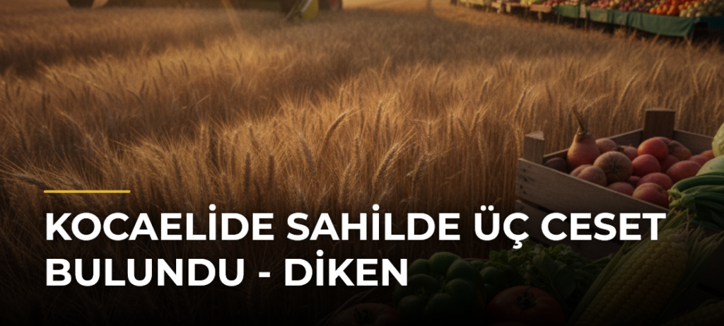 Kocaelide sahilde üç ceset bulundu – Diken