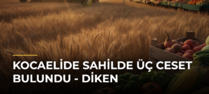 Kocaelide sahilde üç ceset bulundu – Diken