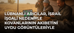 Lübnanlı arıcılar, İsrail işgali nedeniyle kovanlarının akıbetini uydu görüntüleriyle öğrenmeye çalışıyor
