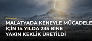 Malatyada Keneyle Mücadele İçin 14 Yılda 235 Bine Yakın Keklik Üretildi