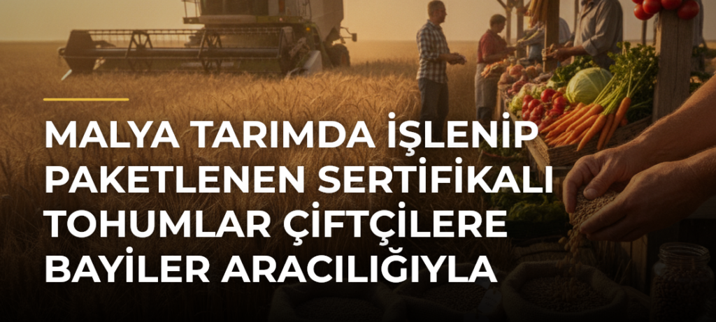 Malya Tarımda işlenip paketlenen sertifikalı tohumlar çiftçilere bayiler aracılığıyla ulaştırılıyor