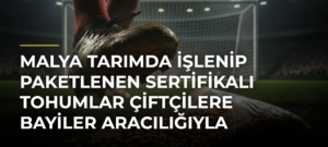 Malya Tarımda işlenip paketlenen sertifikalı tohumlar çiftçilere bayiler aracılığıyla ulaştırılıyor