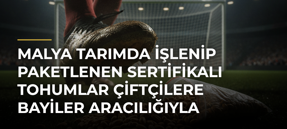 Malya Tarımda işlenip paketlenen sertifikalı tohumlar çiftçilere bayiler aracılığıyla ulaştırılıyor
