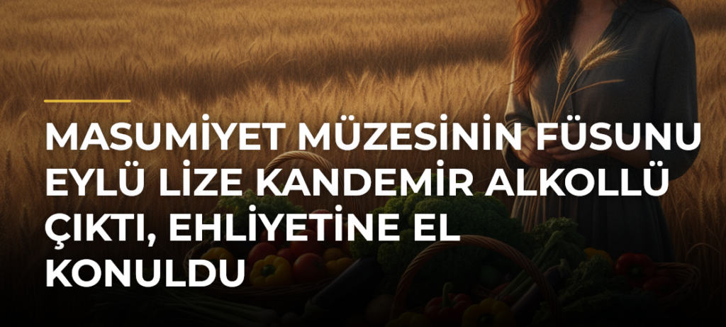 Masumiyet Müzesinin Füsunu Eylü Lize Kandemir Alkollü Çıktı, Ehliyetine El Konuldu