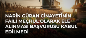 Narin Güran cinayetinin faili meçhul olarak ele alınması başvurusu kabul edilmedi