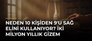 Neden 10 kişiden 9’u sağ elini kullanıyor? İki milyon yıllık gizem