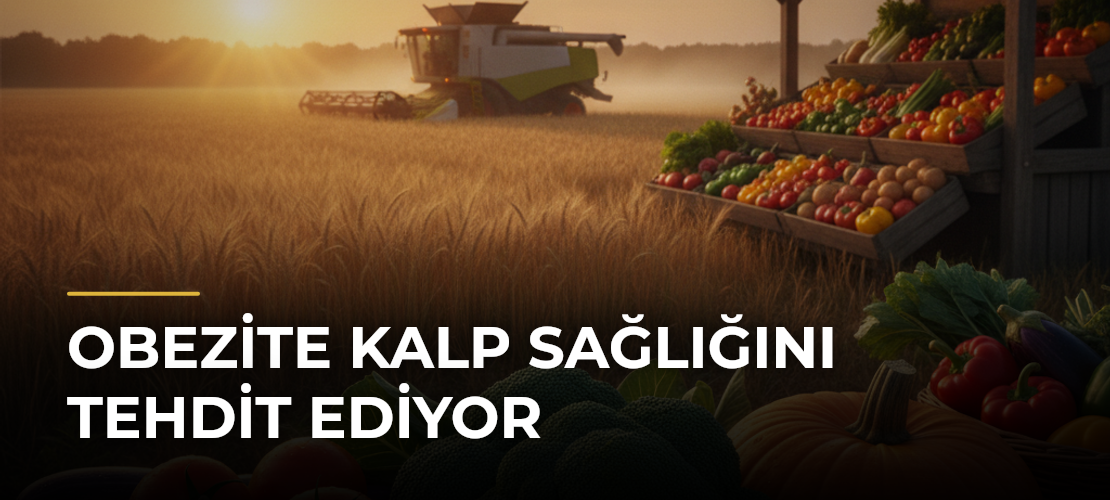 Obezite Kalp Sağlığını Tehdit Ediyor - Mirat Haber