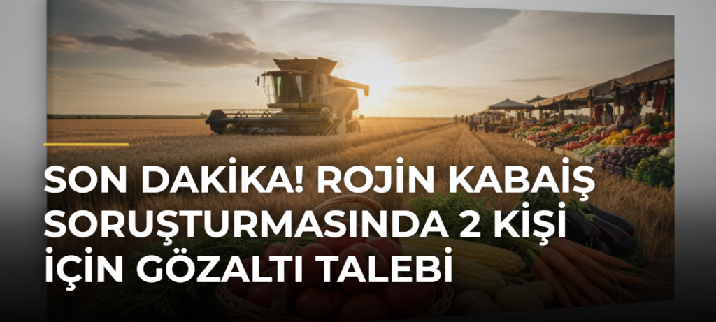 SON DAKİKA! Rojin Kabaiş soruşturmasında 2 kişi için gözaltı talebi