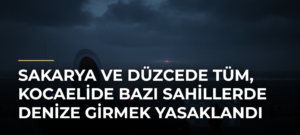 Sakarya ve Düzcede Tüm, Kocaelide Bazı Sahillerde Denize Girmek Yasaklandı