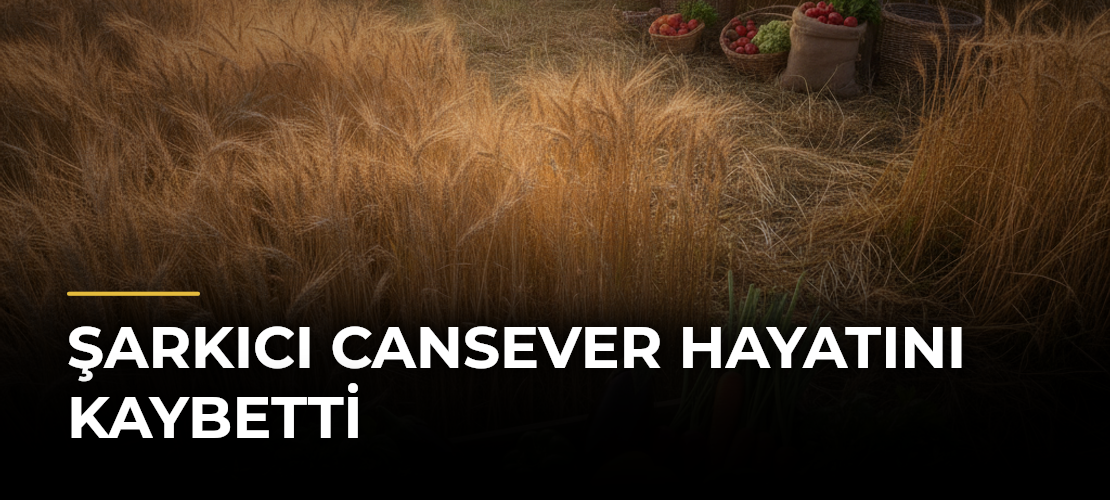 Şarkıcı Cansever hayatını kaybetti