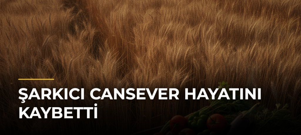 Şarkıcı Cansever hayatını kaybetti