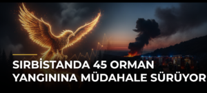 Sırbistanda 45 orman yangınına müdahale sürüyor