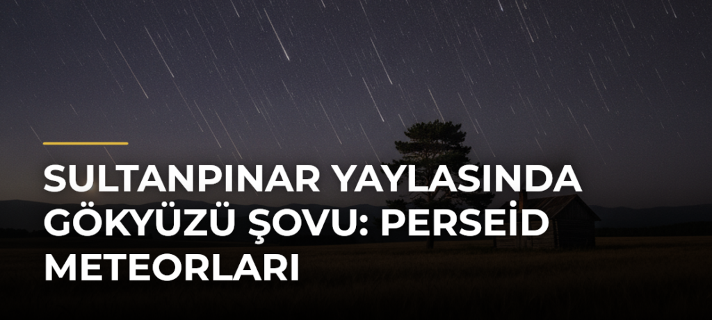 Sultanpınar Yaylasında Gökyüzü Şovu: Perseid Meteorları