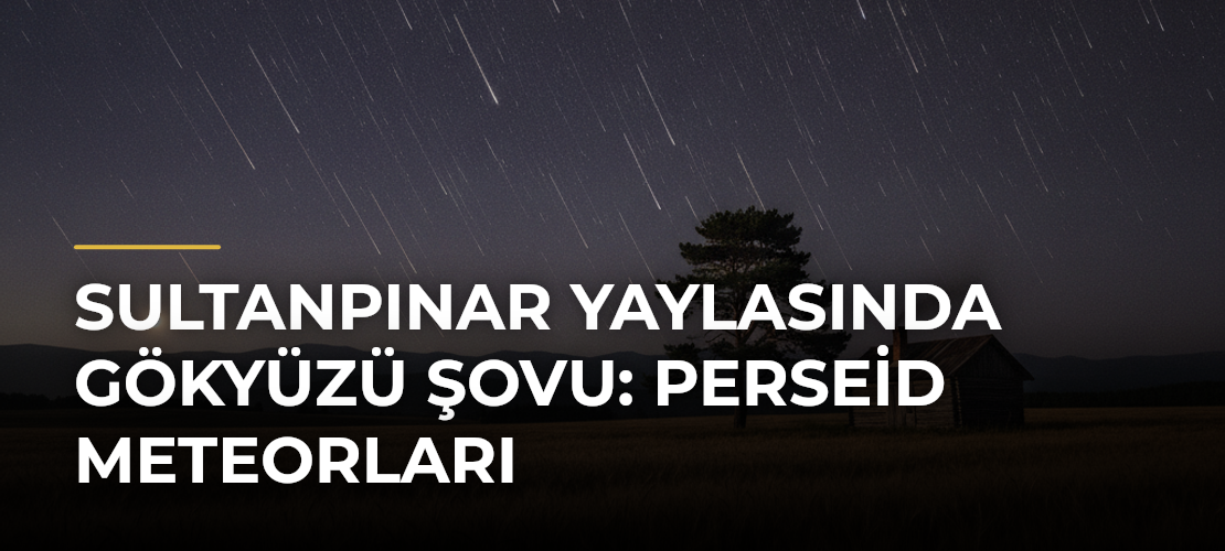 Sultanpınar Yaylasında Gökyüzü Şovu: Perseid Meteorları