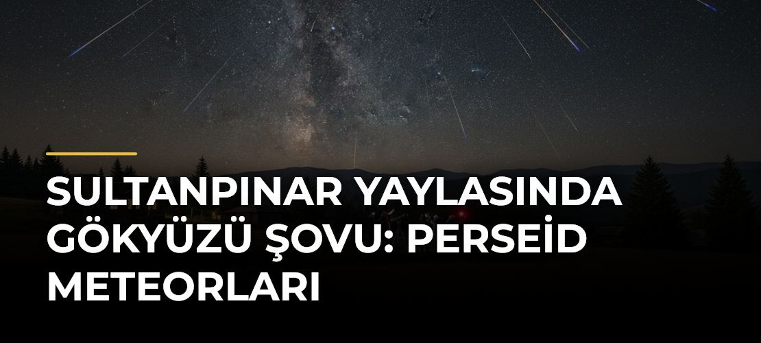Sultanpınar Yaylasında Gökyüzü Şovu: Perseid Meteorları