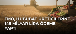 TMO, hububat üreticilerine 145 milyar lira ödeme yaptı