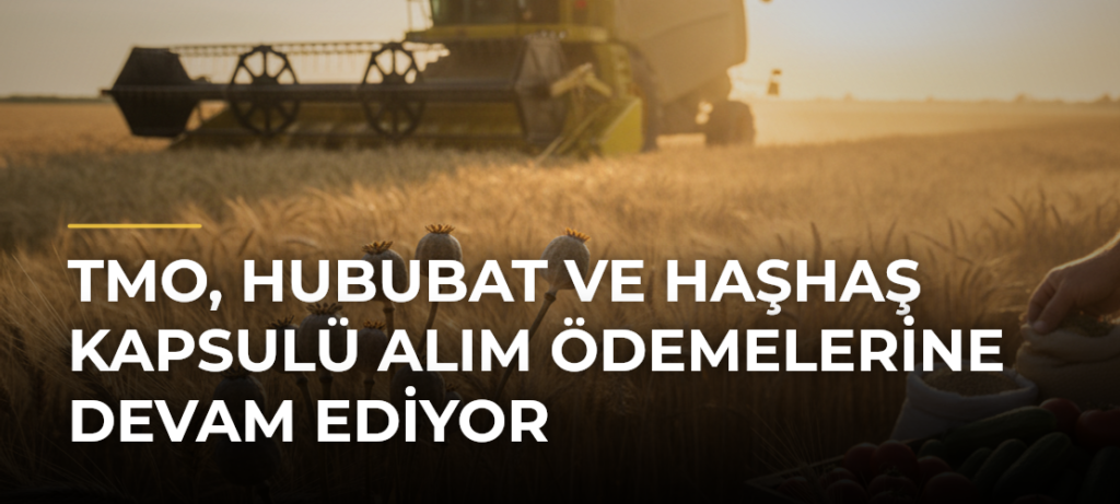 TMO, hububat ve haşhaş kapsulü alım ödemelerine devam ediyor