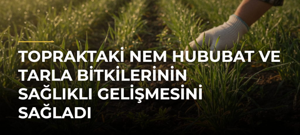 Topraktaki Nem Hububat ve Tarla Bitkilerinin Sağlıklı Gelişmesini Sağladı