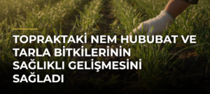 Topraktaki Nem Hububat ve Tarla Bitkilerinin Sağlıklı Gelişmesini Sağladı