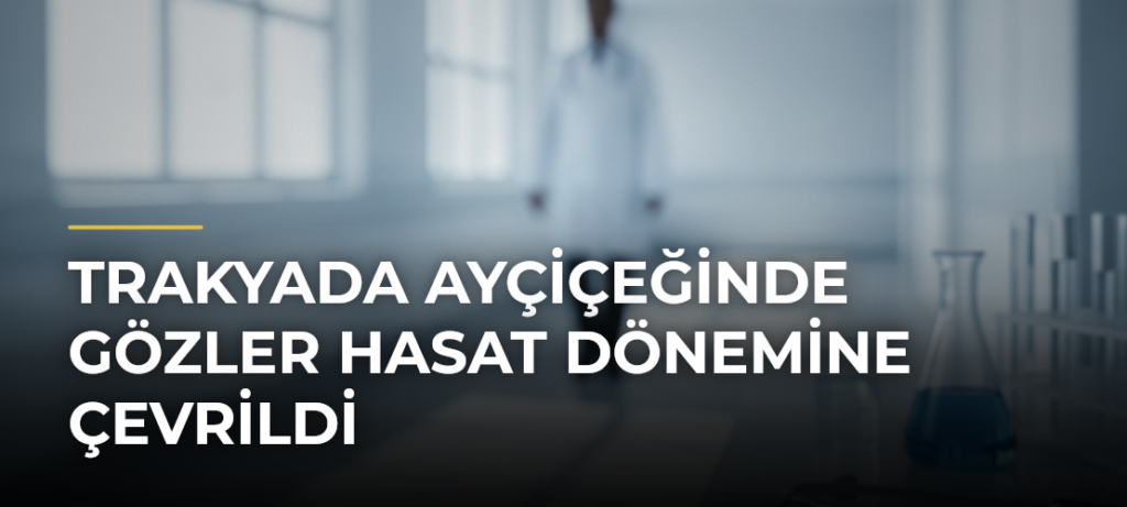 Trakyada Ayçiçeğinde Gözler Hasat Dönemine Çevrildi