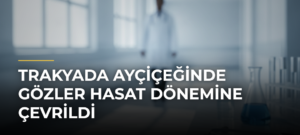 Trakyada Ayçiçeğinde Gözler Hasat Dönemine Çevrildi