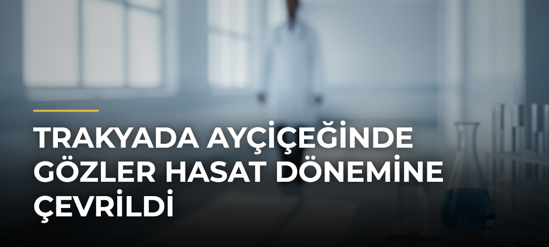 Trakyada Ayçiçeğinde Gözler Hasat Dönemine Çevrildi