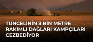 Tuncelinin 3 bin metre rakımlı dağları kampçıları cezbediyor