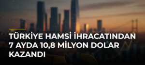 Türkiye hamsi ihracatından 7 ayda 10,8 milyon dolar kazandı