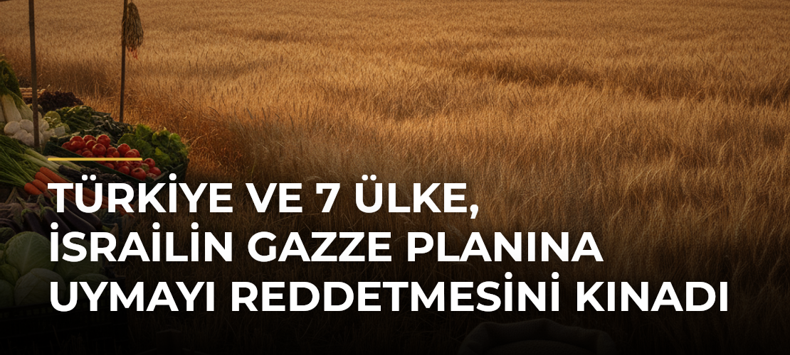 Türkiye ve 7 ülke, İsrailin Gazze Planına uymayı reddetmesini kınadı