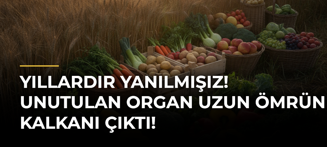 Yıllardır yanılmışız! Unutulan organ uzun ömrün kalkanı çıktı!