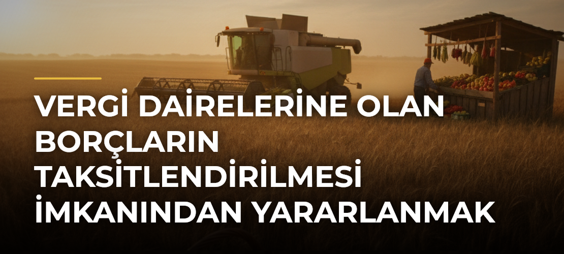 Vergi dairelerine olan borçların taksitlendirilmesi imkanından yararlanmak için son 10 gün - Mirat Haber