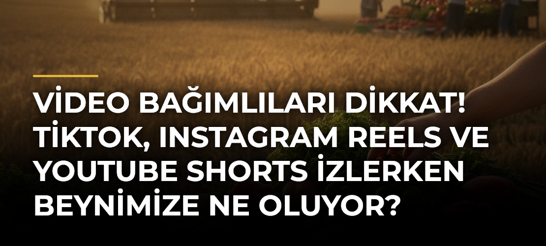 Video Bağımlıları Dikkat! TikTok, Instagram Reels ve YouTube Shorts İzlerken Beynimize Ne Oluyor?