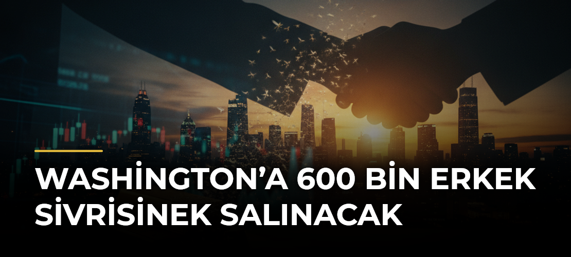 Washington’a 600 bin erkek sivrisinek salınacak